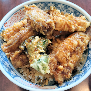 てんぷら　はやし